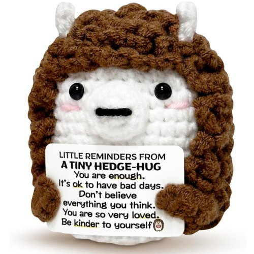 Inspirational Positive Crochet Hedgehog - Small Handmade Little Reminders Emotional Support Doll for Women Men, Unique Graduation Birthday Gifts for Women Friends Teens Daughter Appreciation Gift